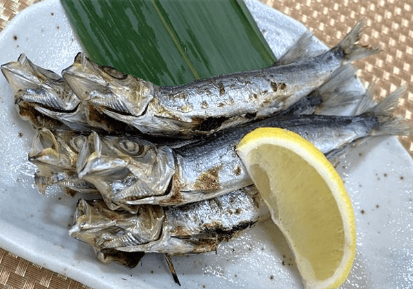 うるめいわし